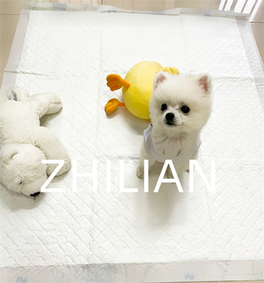 Mesin Pad Pelatihan Pet Pad Sekali Pakai Panjang 350mm 900mm
