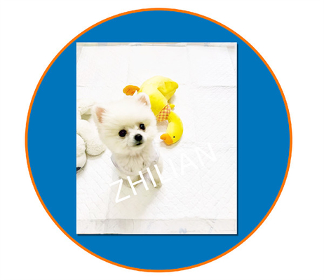 800mm Lebar Pet Training Pad Mesin Pet Pad 200m/mnt 350m/mnt